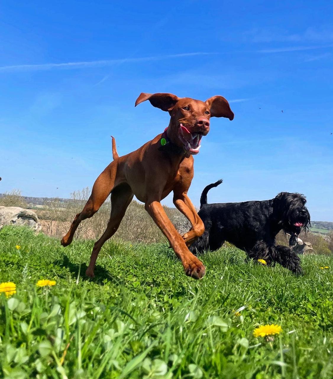 Daily Photos & Videos