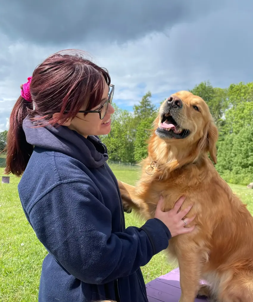 A woman greeting a golden retriever at The Meadow